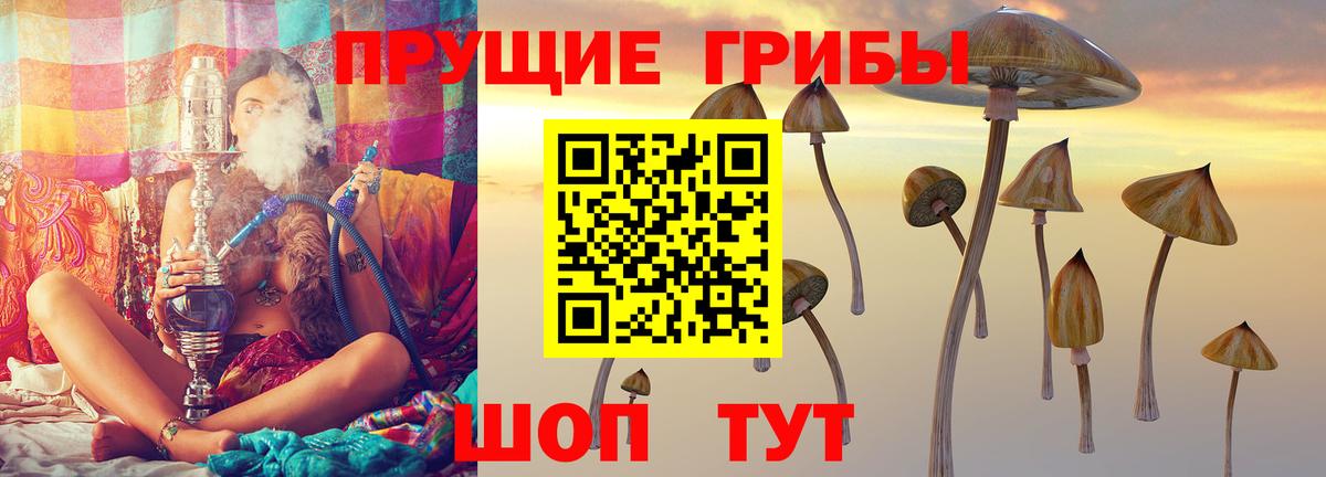 Псилоцибиновые грибы Psilocybe  Вход с VPN  Зеленодольск 